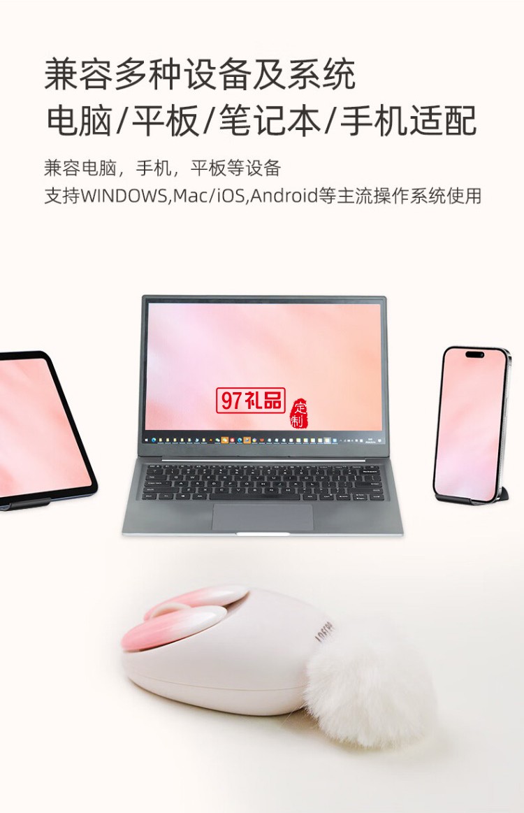 洛斐-OE904S 小瓣無(wú)線雙模鼠標(biāo)-小薔薇