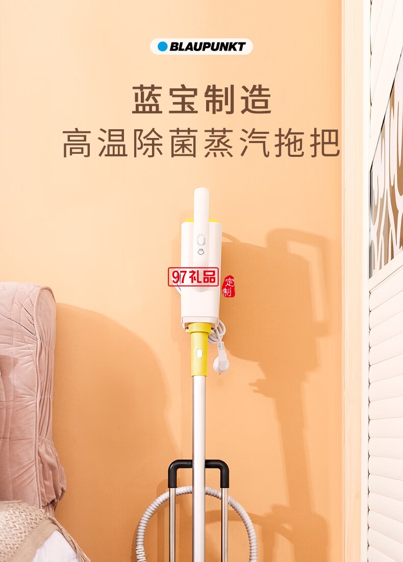 藍(lán)寶·多功能蒸汽清潔機(jī) 